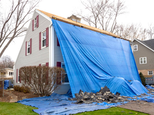 Best Stone Veneer Siding  in Peachtree City, GA
